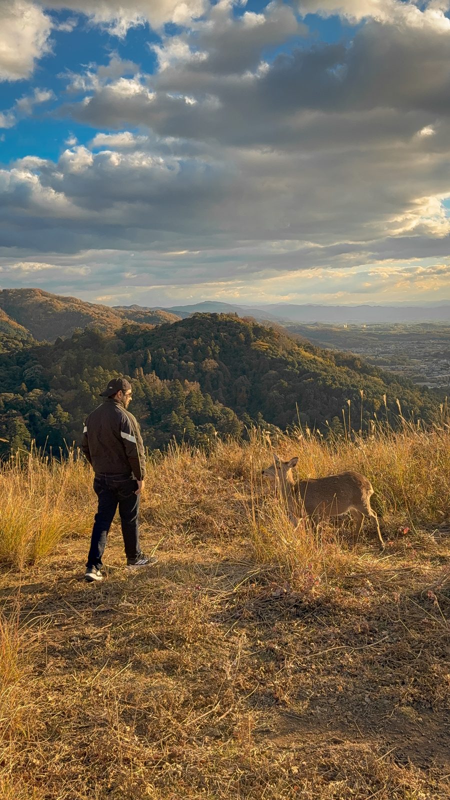 Faiq on a hillside above Nara with a wild deer at sunset